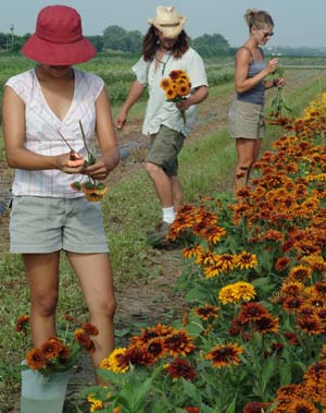 'Many brides walk the garden to see the flowers and pick them out themselves,' says Karen Pendleton, co-owner of Pendleton Farms near Lawrence, Kansas.